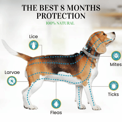 🔥Last Day 49% off🔥Pet Collars for Flea and Tick Prevention🐕🐈
