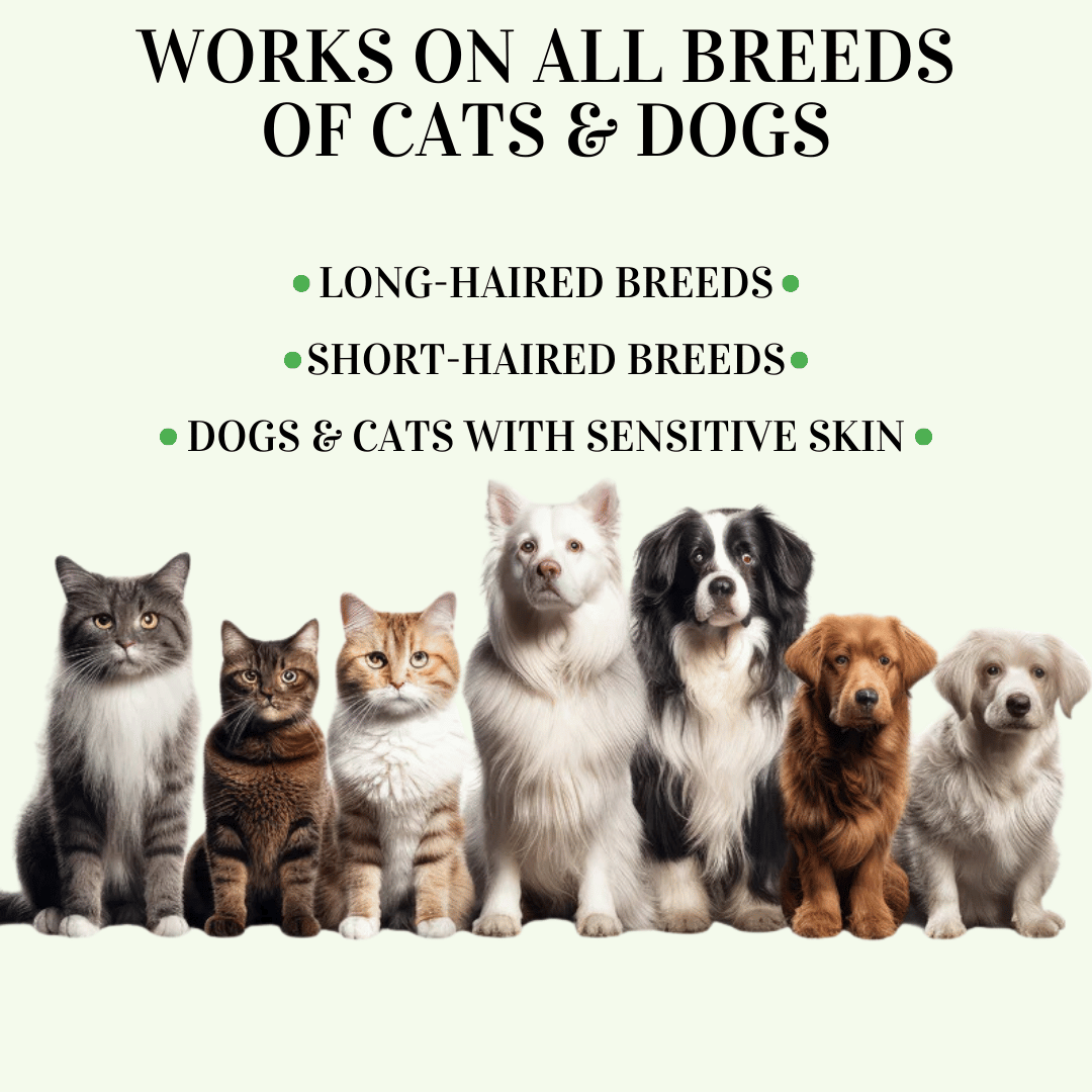 🔥Last Day 49% off🔥Pet Collars for Flea and Tick Prevention🐕🐈