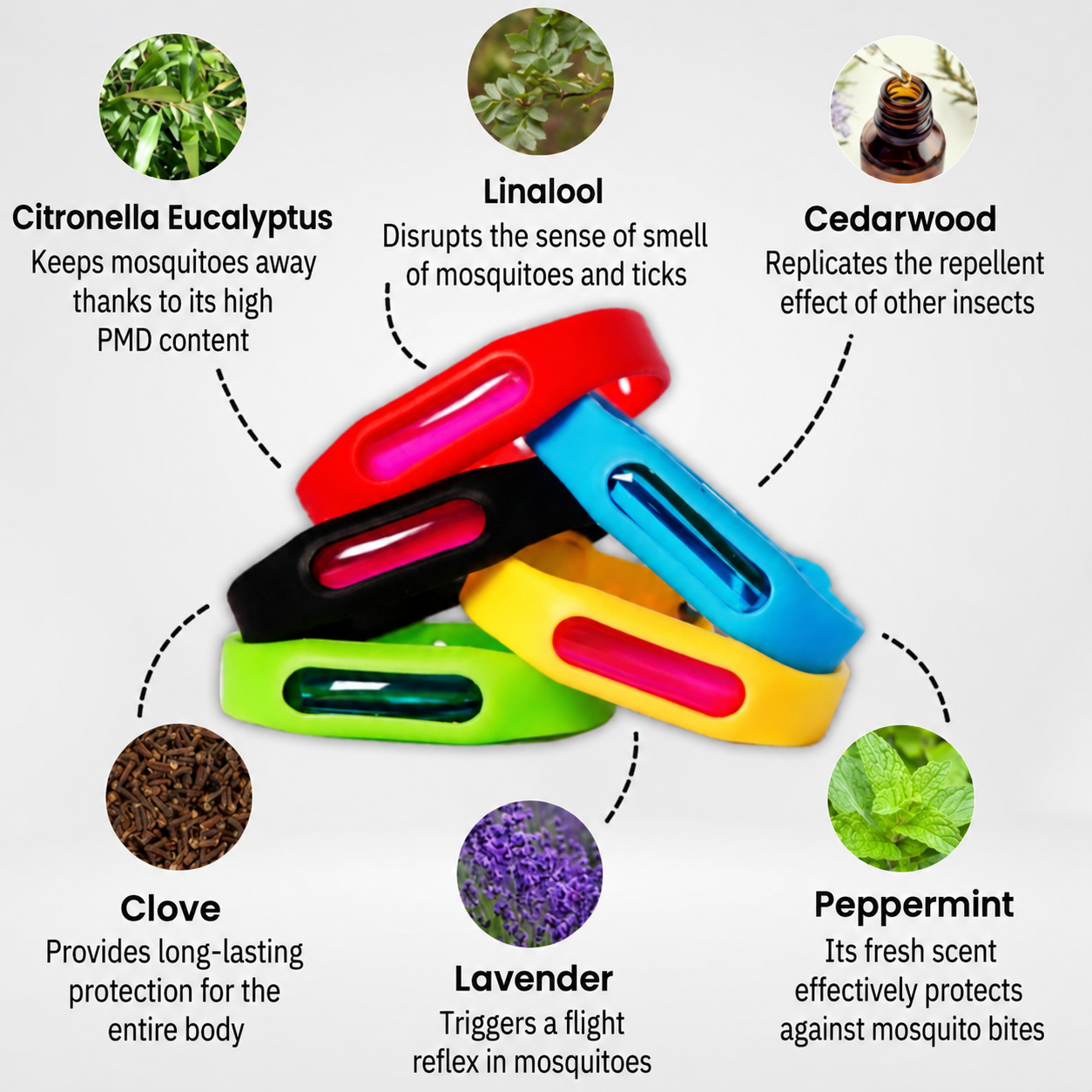Botanical ingredients associated with the wristband scent