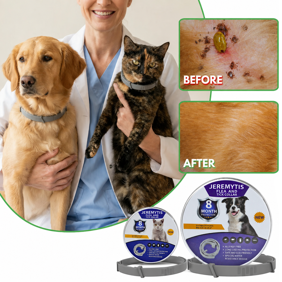 🔥Last Day 49% off🔥Pet Collars for Flea and Tick Prevention🐕🐈