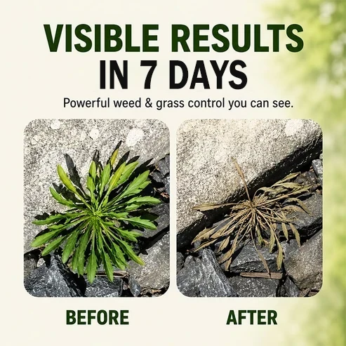 🔥Last Day 49% off🔥JEREMYTIS™Fast-Acting Natural Herbicide Spray🌿