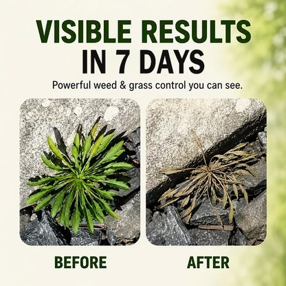 🔥Last Day 49% off🔥JEREMYTIS™Fast-Acting Natural Herbicide Spray🌿